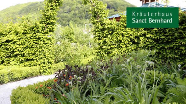 L'orto botanico
