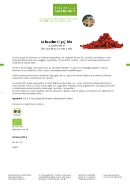 Bacche di Goji bio 500 g