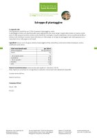 Sciroppo di piantaggine 500 ml