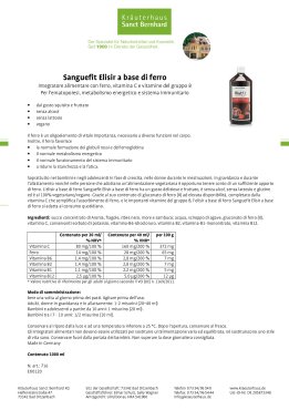 Sanguefit Elisir a base di ferro 1000 ml