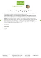 Lozione aromatica per il corpo ginkgo e limetta 250 ml