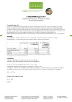 Compresse di guaranà  250 compresse