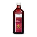 Herbaginsan Ginseng-Elixier 250 ml
