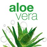 Aloe vera - cura della pelle